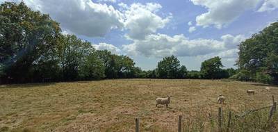 Terrain à Rosnay en Vendée (85) de 1150 m² à vendre au prix de 29000€ - 2