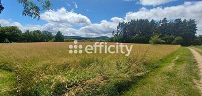 Terrain à Ruynes-en-Margeride en Cantal (15) de 10021 m² à vendre au prix de 53889€ - 1