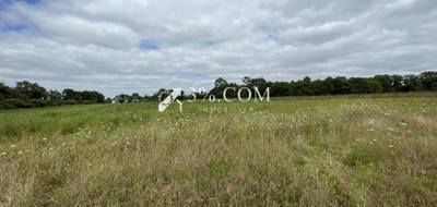 Terrain à Plougoumelen en Morbihan (56) de 385 m² à vendre au prix de 134500€ - 3