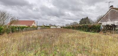 Terrain à Cheverny en Loir-et-Cher (41) de 2373 m² à vendre au prix de 83000€ - 1