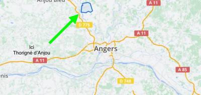 Terrain à Le Lion-d'Angers en Maine-et-Loire (49) de 1800 m² à vendre au prix de 77000€ - 2