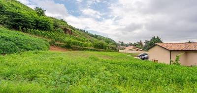 Terrain à Chavanay en Loire (42) de 714 m² à vendre au prix de 105000€ - 4