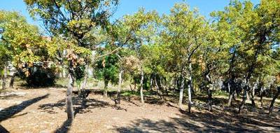 Terrain à Forcalquier en Alpes-de-Haute-Provence (04) de 820 m² à vendre au prix de 138000€ - 1