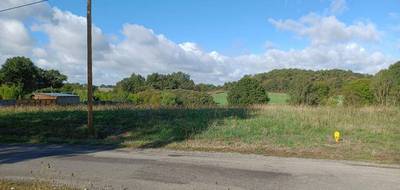 Terrain à Saint-Dolay en Morbihan (56) de 660 m² à vendre au prix de 52800€ - 3