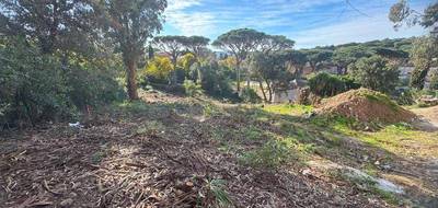 Terrain à Roquebrune-sur-Argens en Var (83) de 1630 m² à vendre au prix de 728000€ - 4