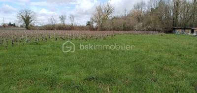 Terrain à Eyrans en Gironde (33) de 1400 m² à vendre au prix de 44000€ - 3