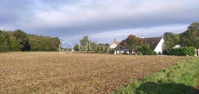 Terrain à Girolles en Loiret (45) de 3589 m² à vendre au prix de 97000€ - 3
