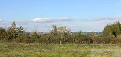 Terrain à Saint-Nicolas-de-la-Grave en Tarn-et-Garonne (82) de 769 m² à vendre au prix de 39000€ - 4