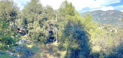 Terrain à Carros en Alpes-Maritimes (06) de 4104 m² à vendre au prix de 185000€ - 4