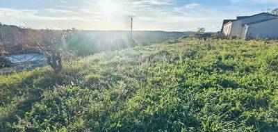 Terrain à Tressan en Hérault (34) de 886 m² à vendre au prix de 189000€ - 4