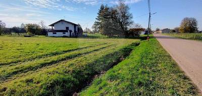 Terrain à Gugnécourt en Vosges (88) de 2703 m² à vendre au prix de 19200€ - 4