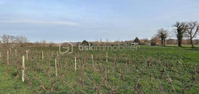 Terrain à Lévignac en Haute-Garonne (31) de 0 m² à vendre au prix de 116800€ - 2