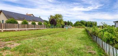 Terrain à Rilly-sur-Loire en Loir-et-Cher (41) de 2860 m² à vendre au prix de 52000€ - 3