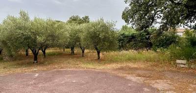 Terrain à Puget-sur-Argens en Var (83) de 460 m² à vendre au prix de 199000€ - 2