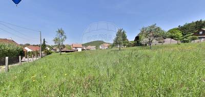 Terrain à Durlinsdorf en Haut-Rhin (68) de 3012 m² à vendre au prix de 170000€ - 1