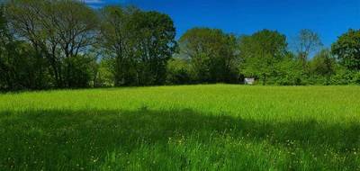 Terrain à Cœur de Causse en Lot (46) de 3348 m² à vendre au prix de 35000€ - 1