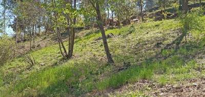 Terrain à Malbosc en Ardèche (07) de 9000 m² à vendre au prix de 138000€ - 3