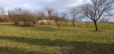 Terrain à Albi en Tarn (81) de 1540 m² à vendre au prix de 65000€ - 3