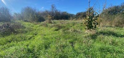 Terrain à Saint-Denis-du-Payré en Vendée (85) de 949 m² à vendre au prix de 59000€ - 3