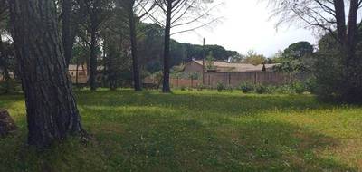 Terrain à Vidauban en Var (83) de 774 m² à vendre au prix de 133300€ - 3