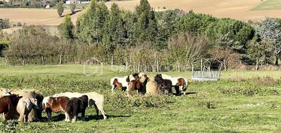 Terrain à Lauzerville en Haute-Garonne (31) de 725 m² à vendre au prix de 199000€ - 3