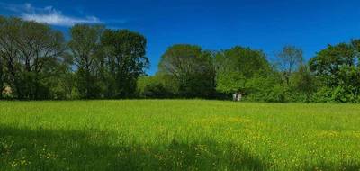 Terrain à Cœur de Causse en Lot (46) de 3348 m² à vendre au prix de 35000€ - 2