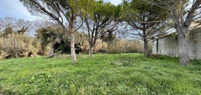 Terrain à Marignane en Bouches-du-Rhône (13) de 800 m² à vendre au prix de 300000€ - 2