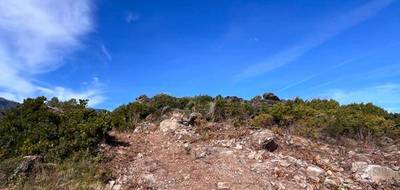 Terrain à Sisco en Haute-Corse (2B) de 900 m² à vendre au prix de 335000€ - 4