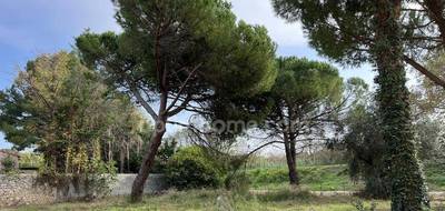 Terrain à Florensac en Hérault (34) de 600 m² à vendre au prix de 129000€ - 2