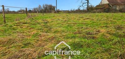 Terrain à Saint-Martin-en-Bresse en Saône-et-Loire (71) de 1294 m² à vendre au prix de 30000€ - 3