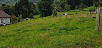 Terrain à Le Val-d'Ajol en Vosges (88) de 0 m² à vendre au prix de 28600€ - 1