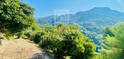 Terrain à Castagniers en Alpes-Maritimes (06) de 1400 m² à vendre au prix de 210000€ - 4