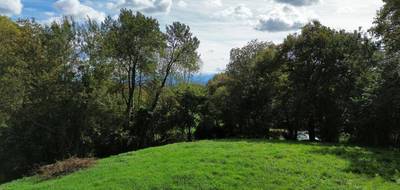 Terrain à Tabaille-Usquain en Pyrénées-Atlantiques (64) de 2900 m² à vendre au prix de 49000€ - 1