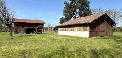 Terrain à Taller en Landes (40) de 5878 m² à vendre au prix de 270000€ - 2