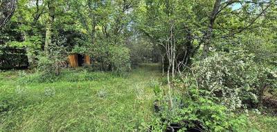 Terrain à Saint-Aubin-de-Médoc en Gironde (33) de 800 m² à vendre au prix de 211000€ - 1