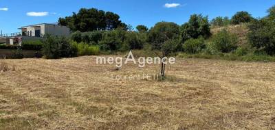 Terrain à Paulhan en Hérault (34) de 2226 m² à vendre au prix de 374000€ - 4