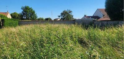 Terrain à Chalain-le-Comtal en Loire (42) de 600 m² à vendre au prix de 81000€ - 2