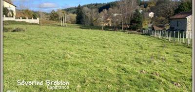 Terrain à Celles-sur-Durolle en Puy-de-Dôme (63) de 2545 m² à vendre au prix de 52000€ - 3