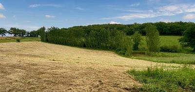 Terrain à Lelin-Lapujolle en Gers (32) de 14000 m² à vendre au prix de 35000€ - 2