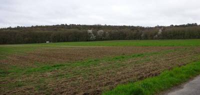 Terrain à Saint-Pierre-lès-Nemours en Seine-et-Marne (77) de 4150 m² à vendre au prix de 188000€ - 1