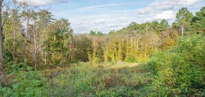 Terrain à Boulazac Isle Manoire en Dordogne (24) de 7177 m² à vendre au prix de 75000€ - 3