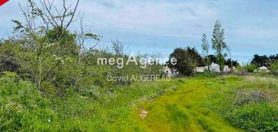 Terrain à L'Île-d'Yeu en Vendée (85) de 2750 m² à vendre au prix de 497000€ - 1