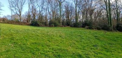 Terrain à Buros en Pyrénées-Atlantiques (64) de 5000 m² à vendre au prix de 120000€ - 1