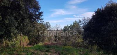 Terrain à Martignargues en Gard (30) de 1200 m² à vendre au prix de 100000€ - 4