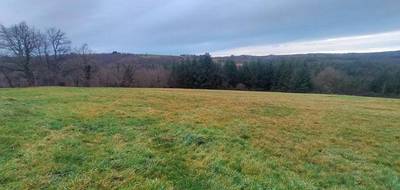 Terrain à Sauviat en Puy-de-Dôme (63) de 14000 m² à vendre au prix de 60000€ - 2