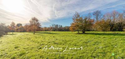 Terrain à Romorantin-Lanthenay en Loir-et-Cher (41) de 4077 m² à vendre au prix de 59990€ - 1