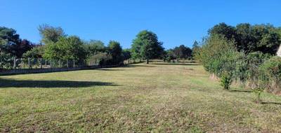 Terrain à Chailles en Loir-et-Cher (41) de 3000 m² à vendre au prix de 177000€ - 1