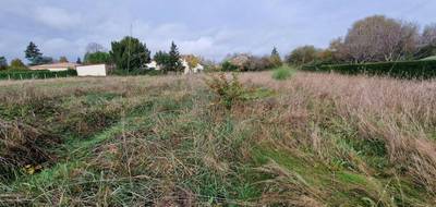 Terrain à Saint-Léon-sur-l'Isle en Dordogne (24) de 2284 m² à vendre au prix de 34000€ - 3