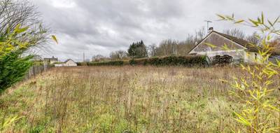 Terrain à Cheverny en Loir-et-Cher (41) de 2373 m² à vendre au prix de 83000€ - 2