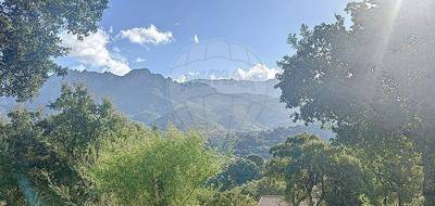 Terrain à Tavaco en Corse-du-Sud (2A) de 1751 m² à vendre au prix de 209000€ - 3